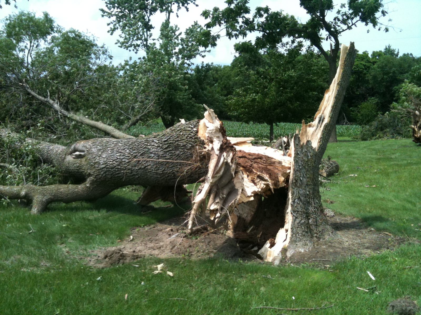 June 20, 2011 Tornado near Bonfield, IL